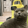 Чисто от души